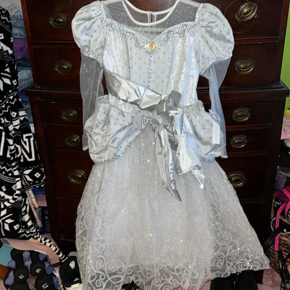 NWT Cinderellabration Dress